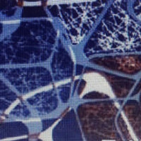 Ткань Сатин принты в Новосибирске